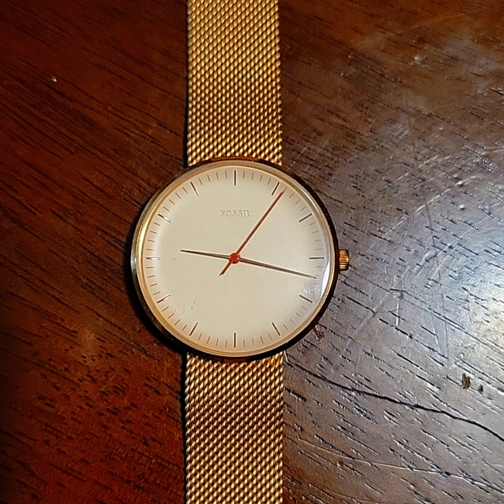 Fossil Watch